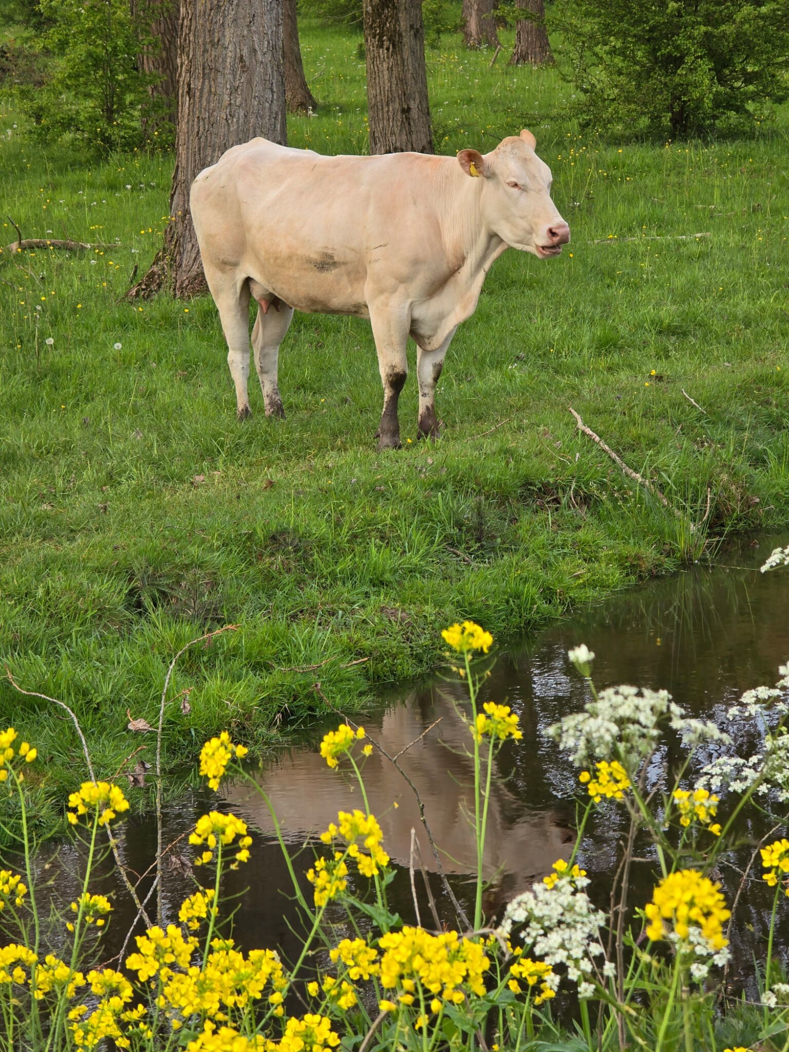 Planetenpad Alblasserbos