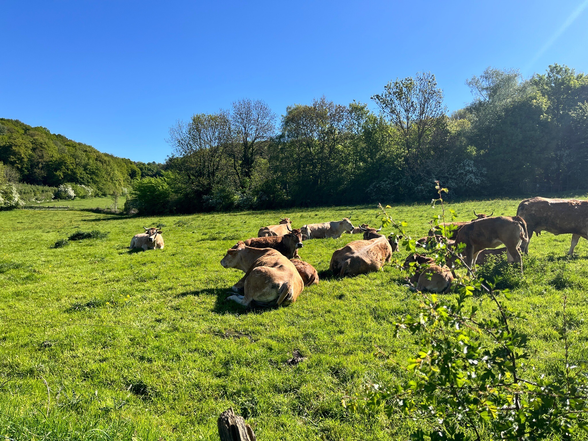 Wandelroute 'De Voerstreek Mooiste'