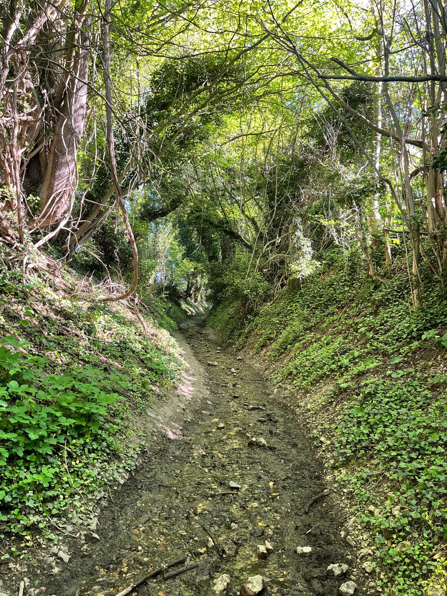 Wandelroute 'De Voerstreek Mooiste'
