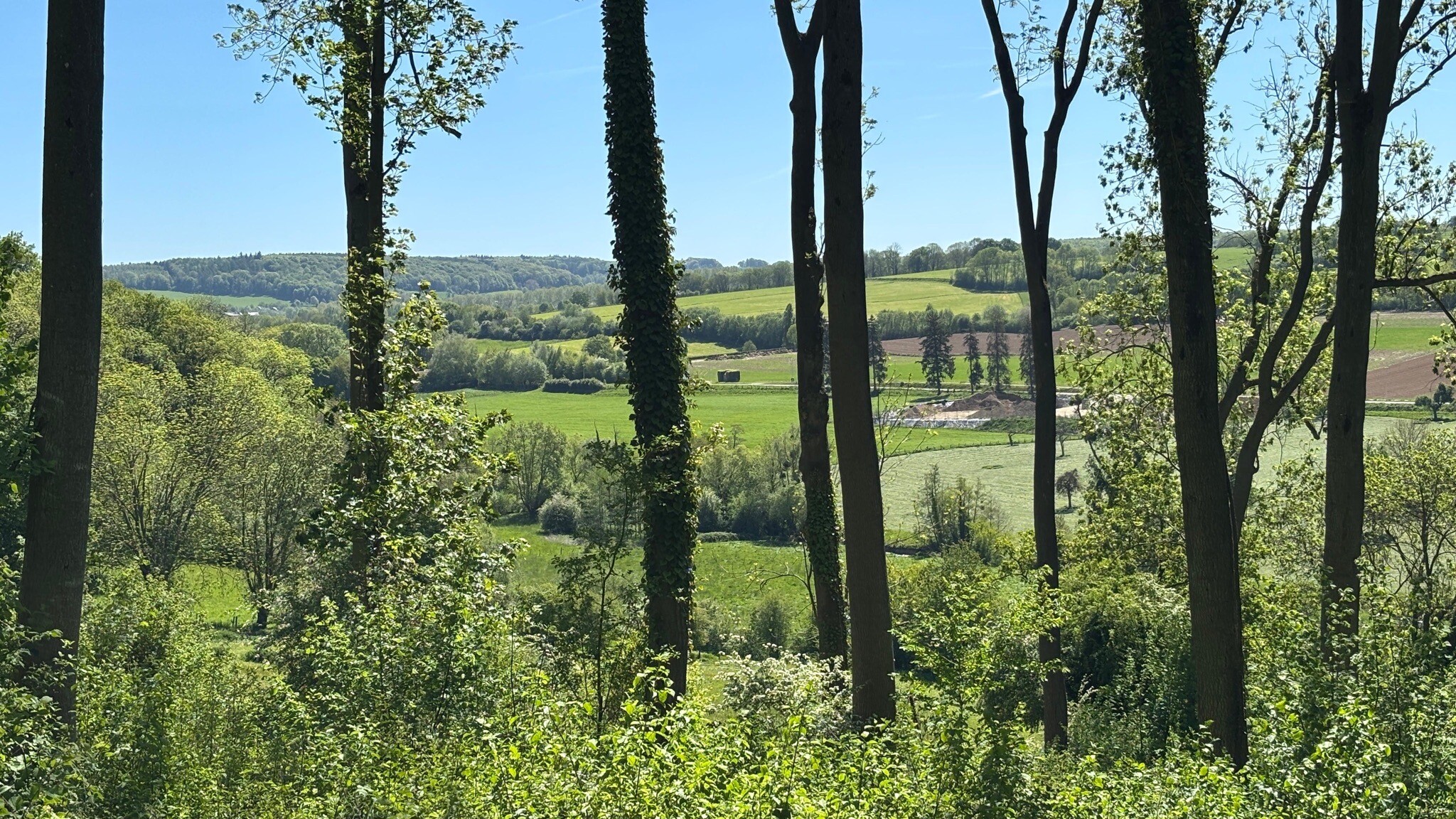 Wandeling Noorbeek