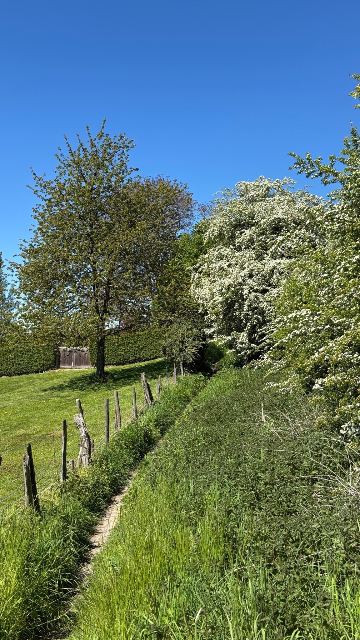 Wandeling Noorbeek
