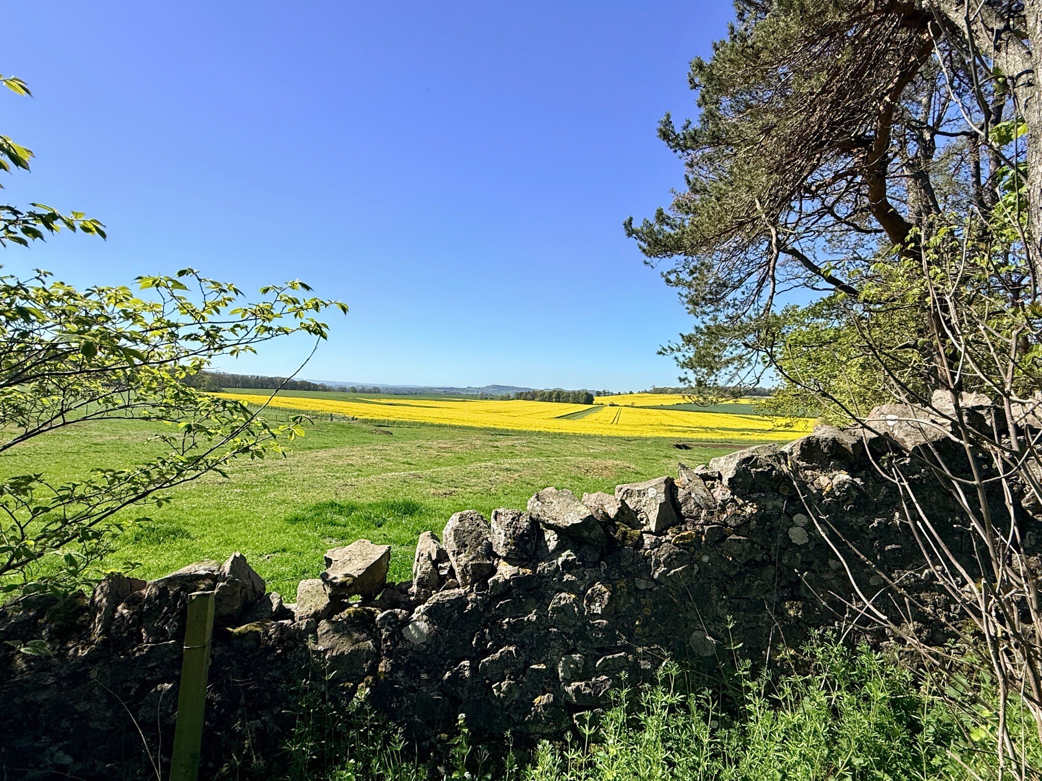 John Muir Way: 10. North Berwick - Dunbar
