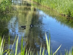 Woerden station - Oudewater · Floris V-pad etappe 5