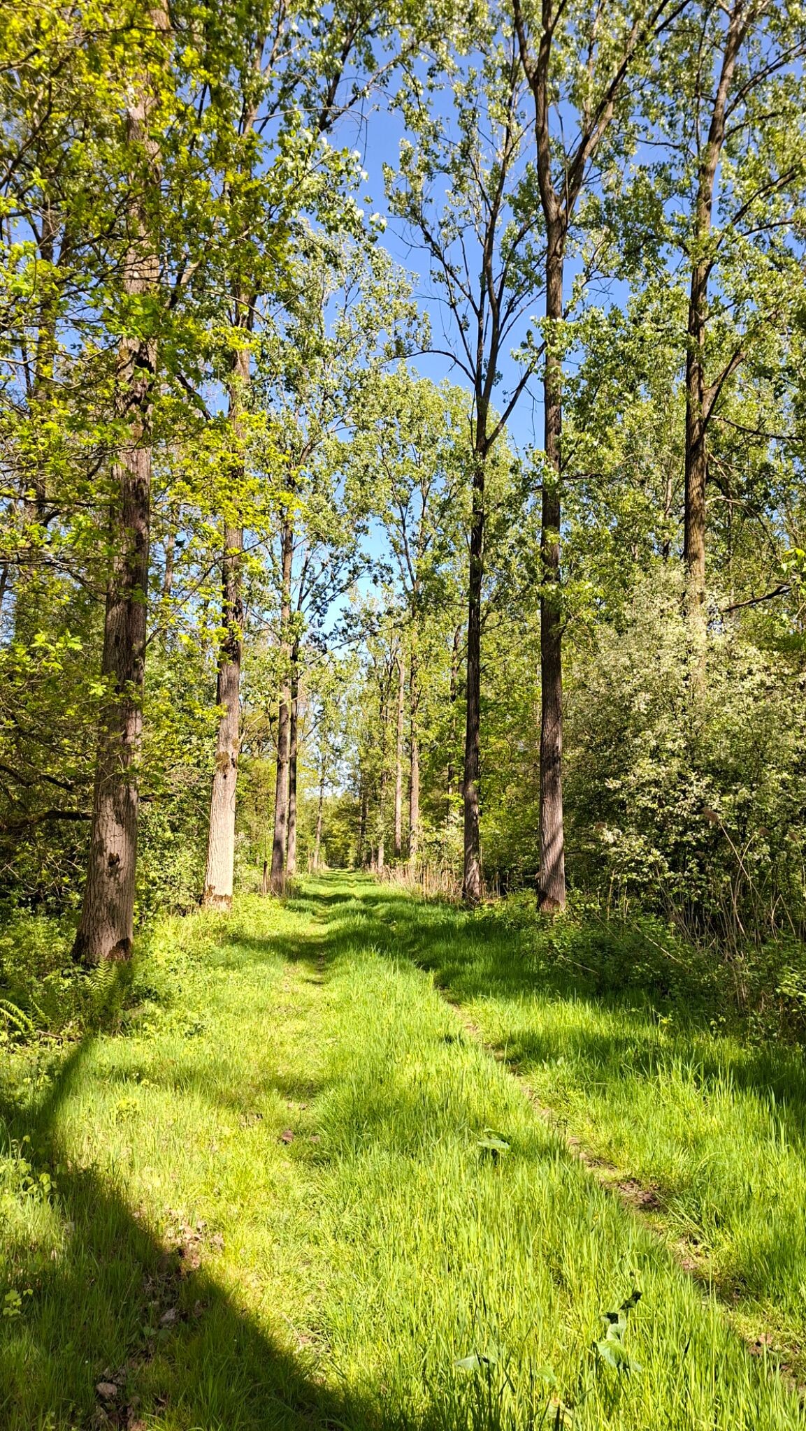 Veghel - Schijndel · Roots Natuurpad etappe 28
