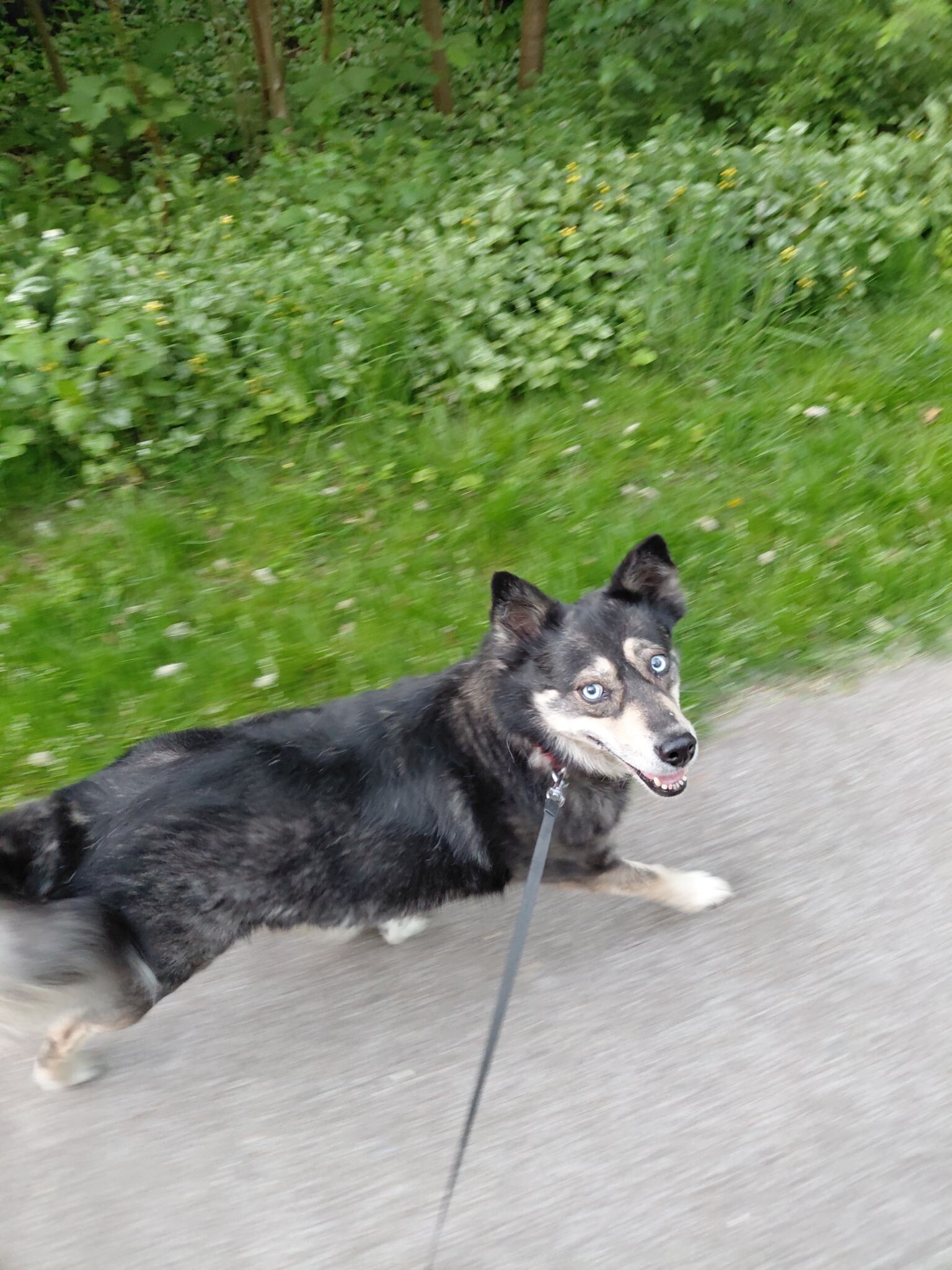 Prachtige avond wandeling