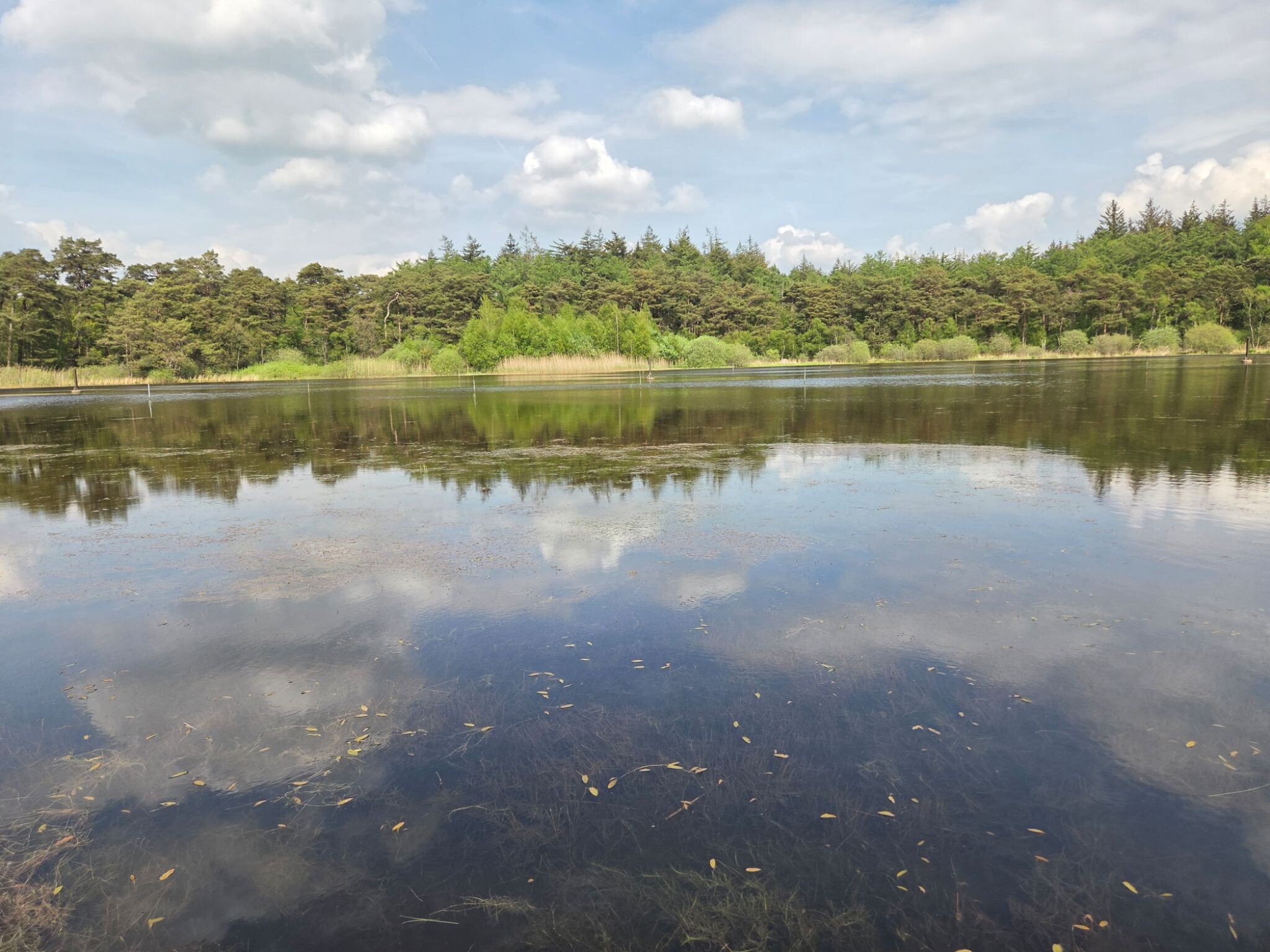 Wandelroute kortweg Olterterp