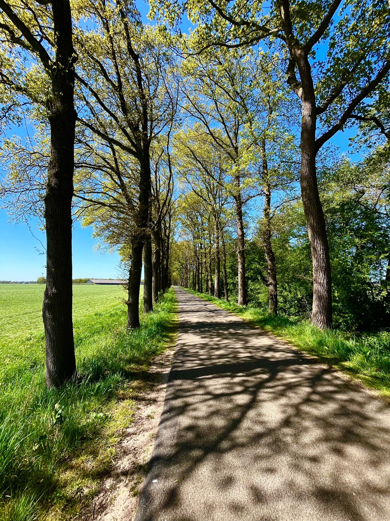 Sleen - Coevorden · Pieterpad etappe 7