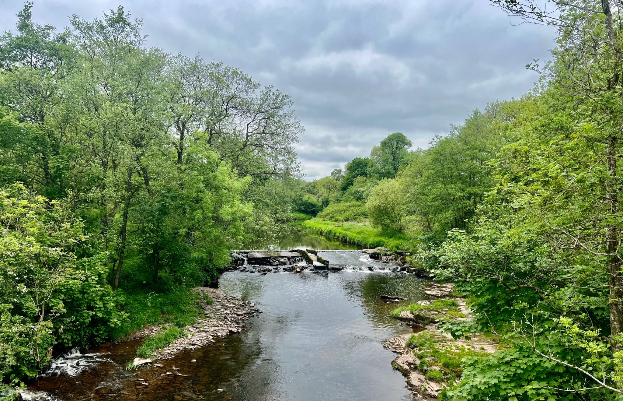 WHW - 1.Milngavie-Dryman
