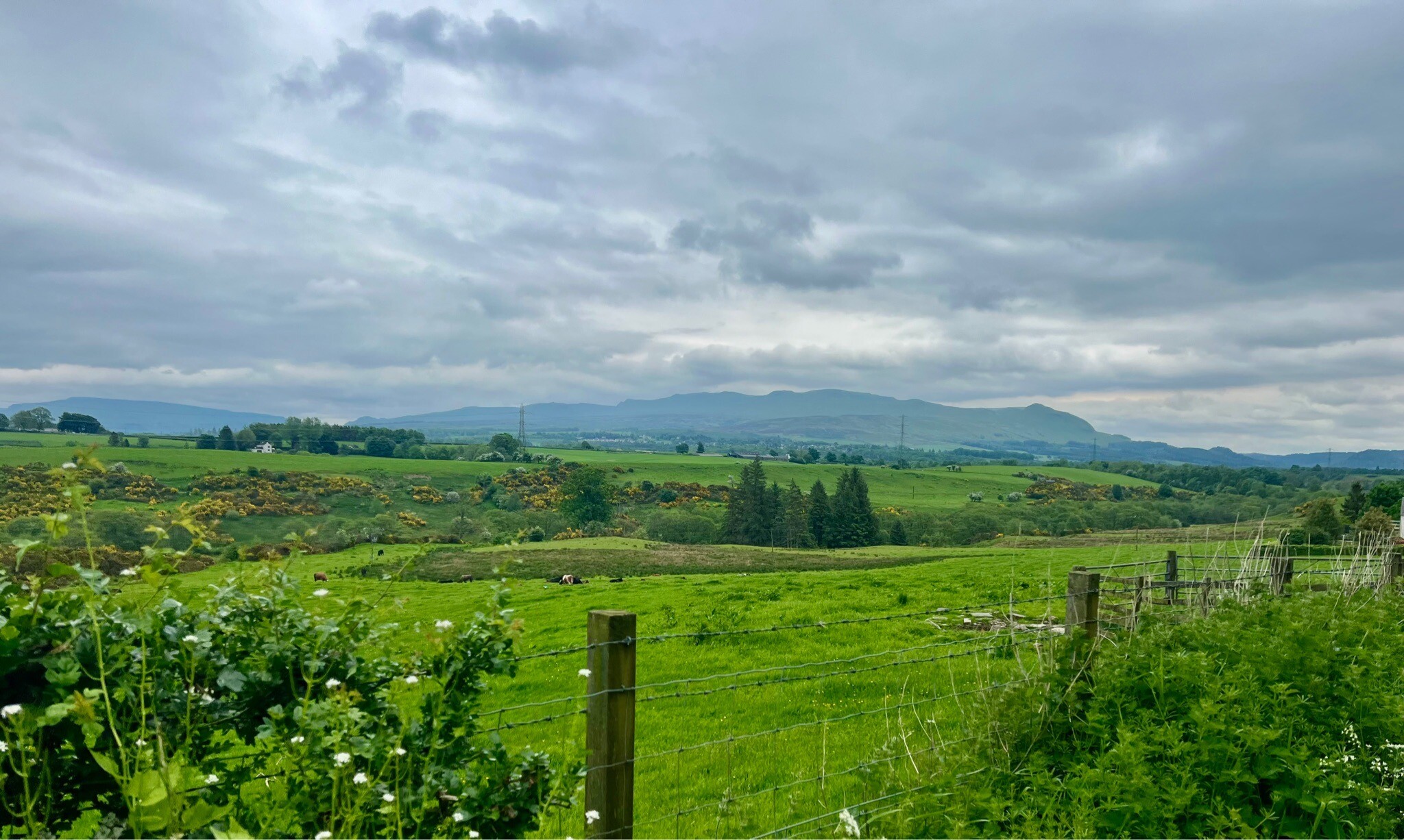 WHW - 1.Milngavie-Dryman