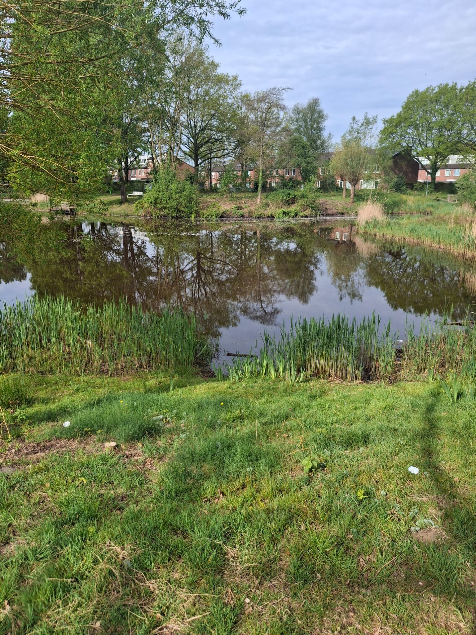Rondje peelo,  pitteloo, noorderpark, peelo