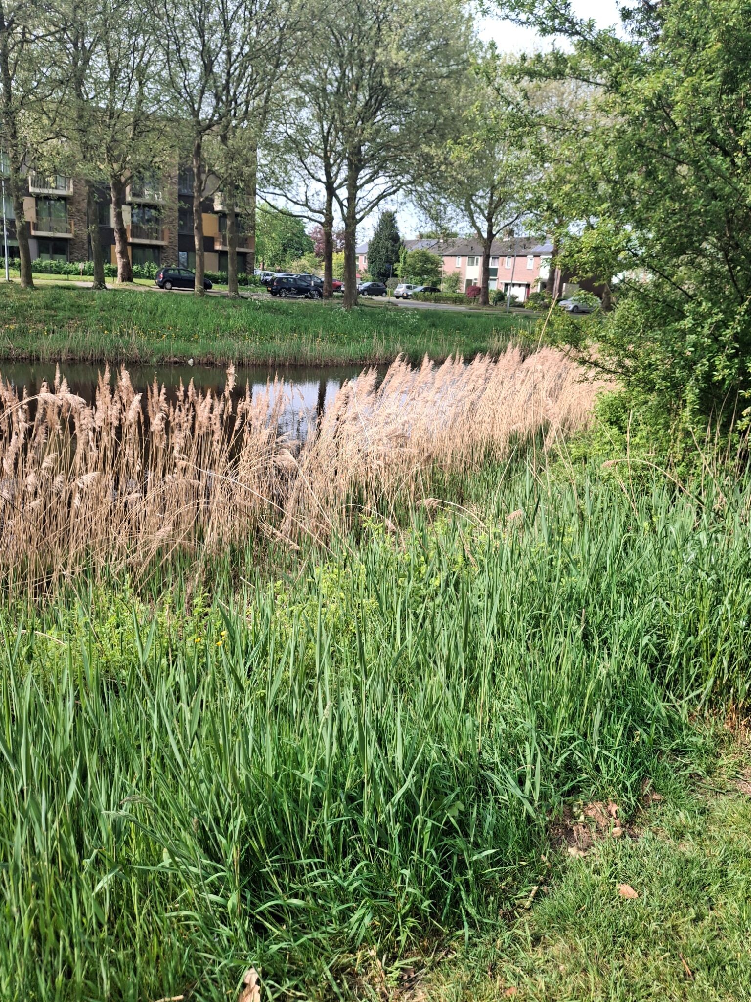 Rondje peelo,  pitteloo, noorderpark, peelo