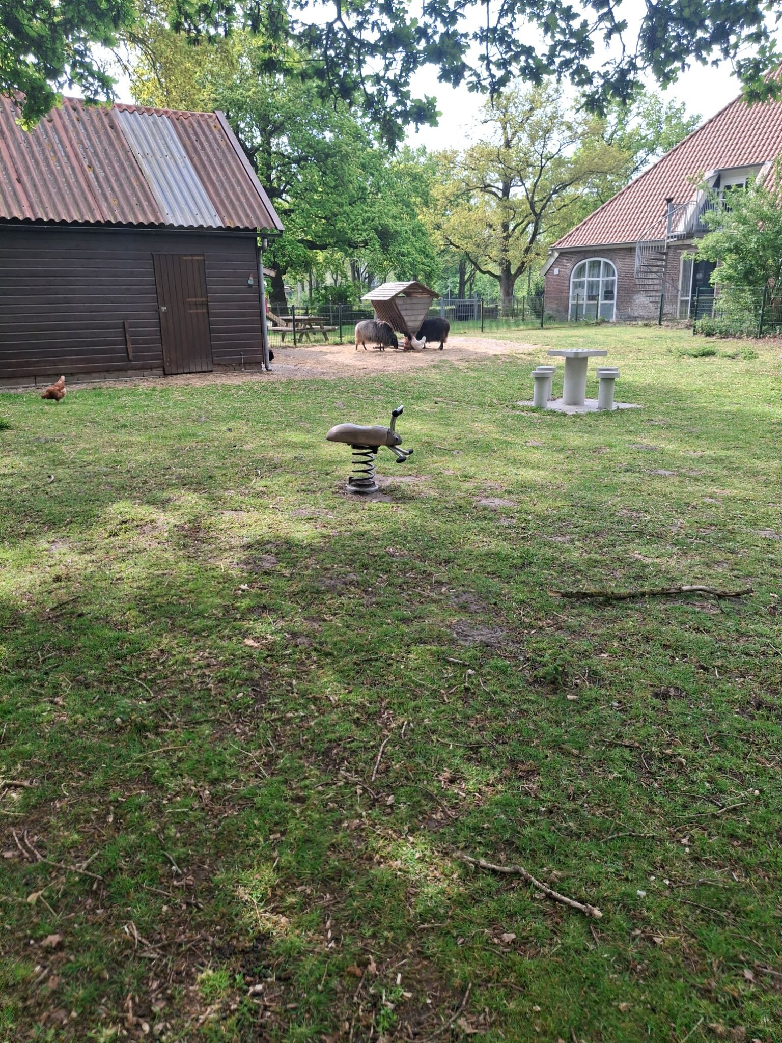 Rondje peelo,  pitteloo, noorderpark, peelo