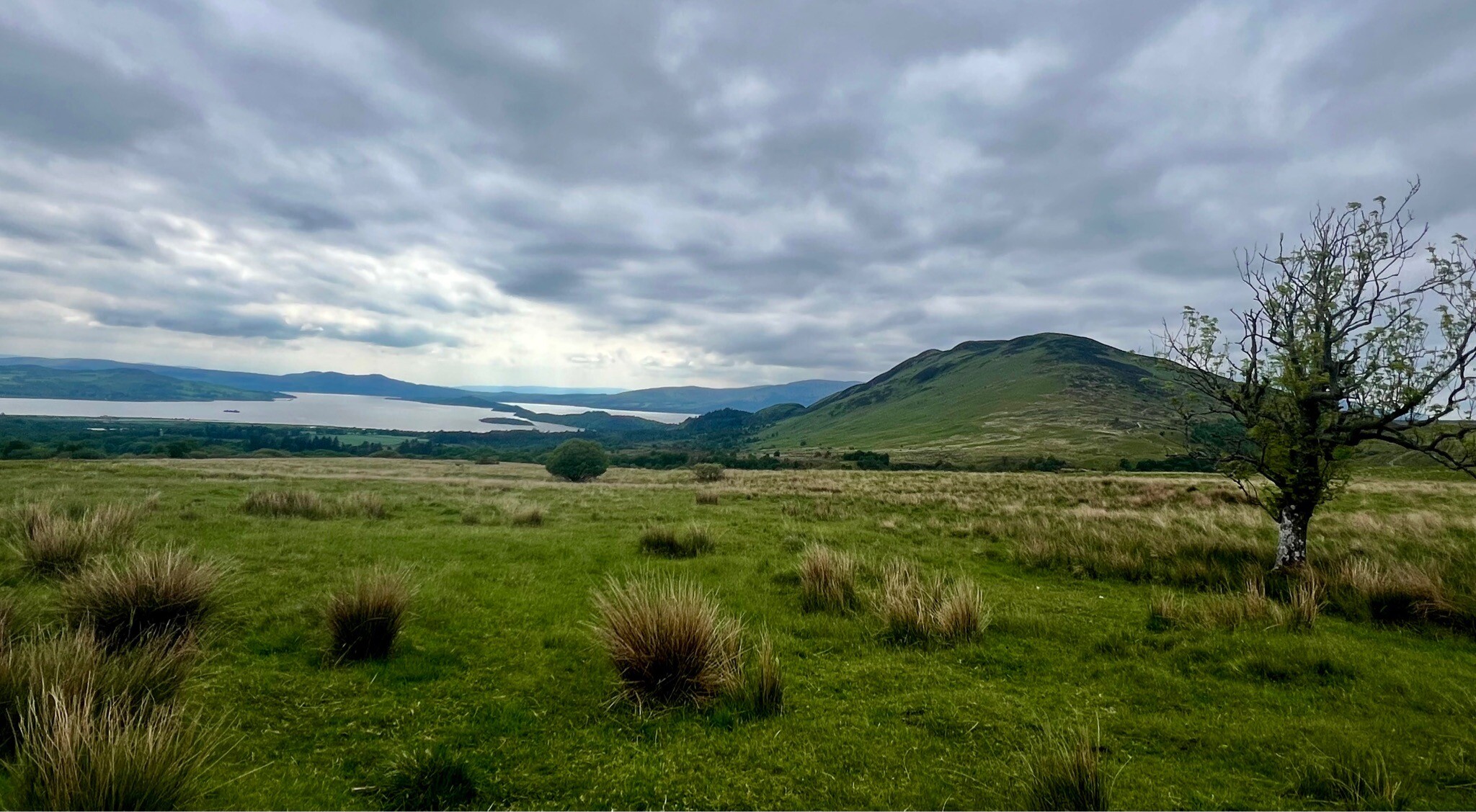 WHW 2.Dryman-Rowardennan