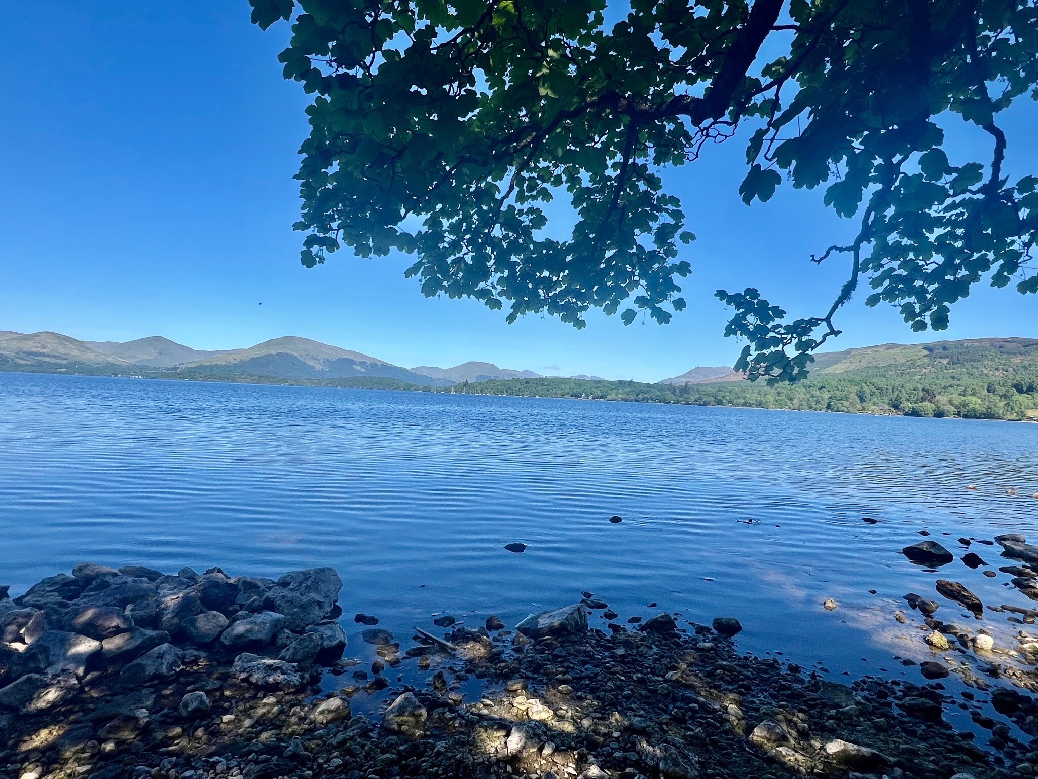 WHW 2.Dryman-Rowardennan