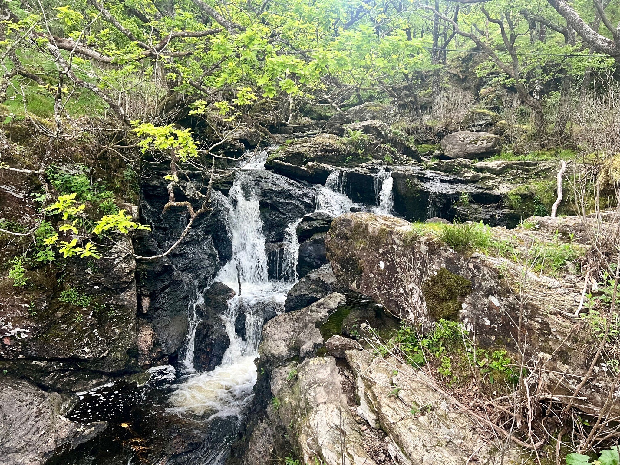 WHW 3.Rowardennan-Inverarnan