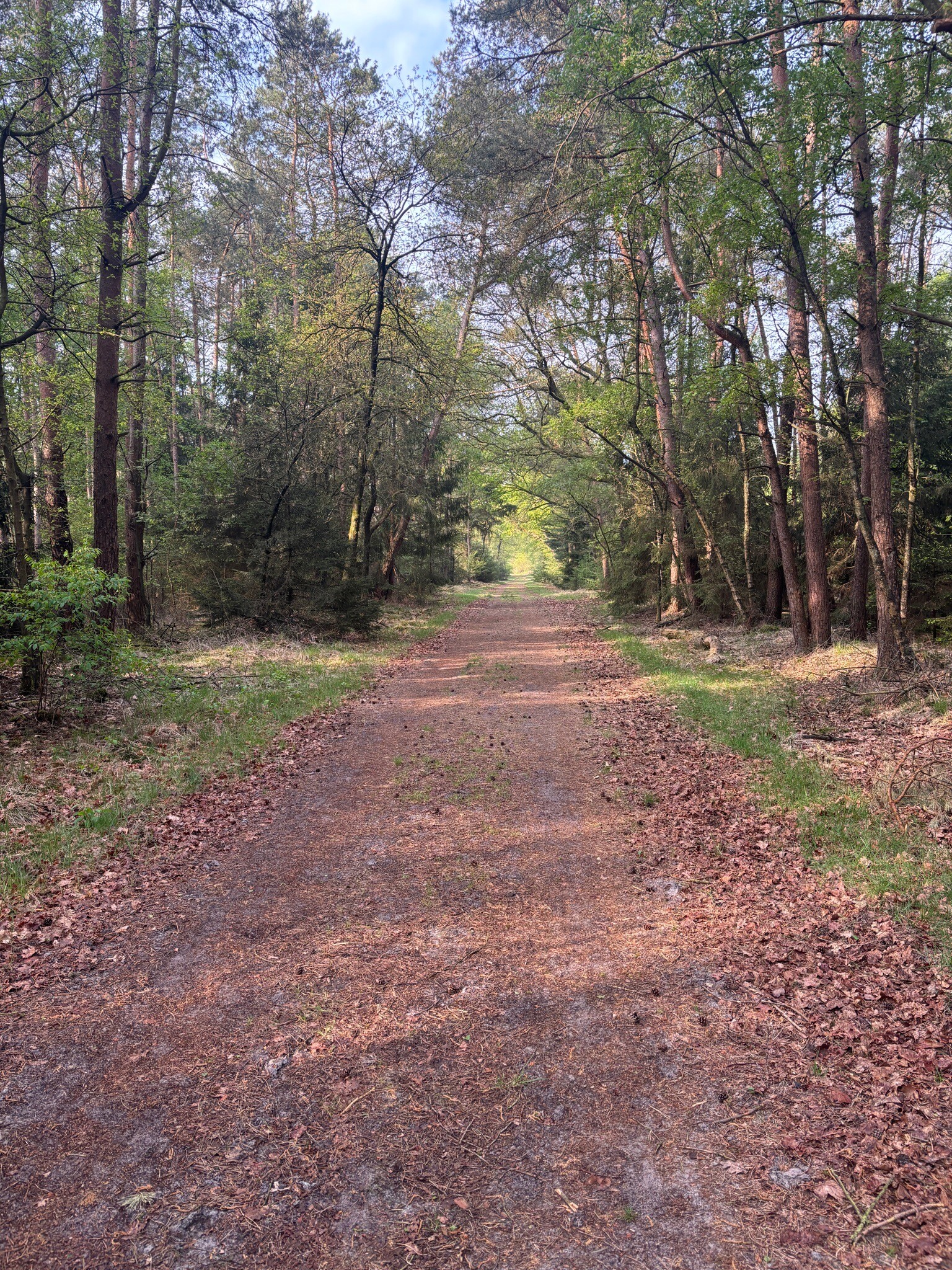 Drenthepad