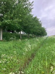 Station Rilland-Bath - Station Kruiningen-Yerseke · Oosterscheldepad etappe 14