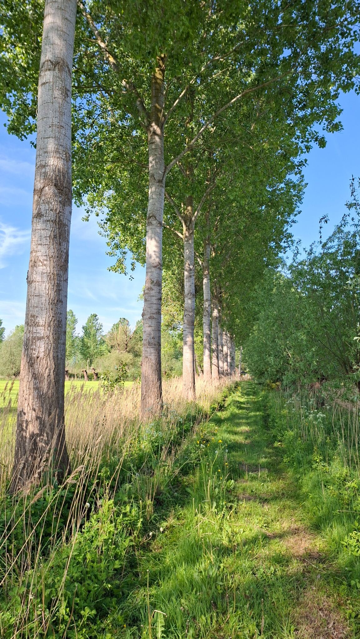 Schijndel - Liempde · Roots Natuurpad etappe 29
