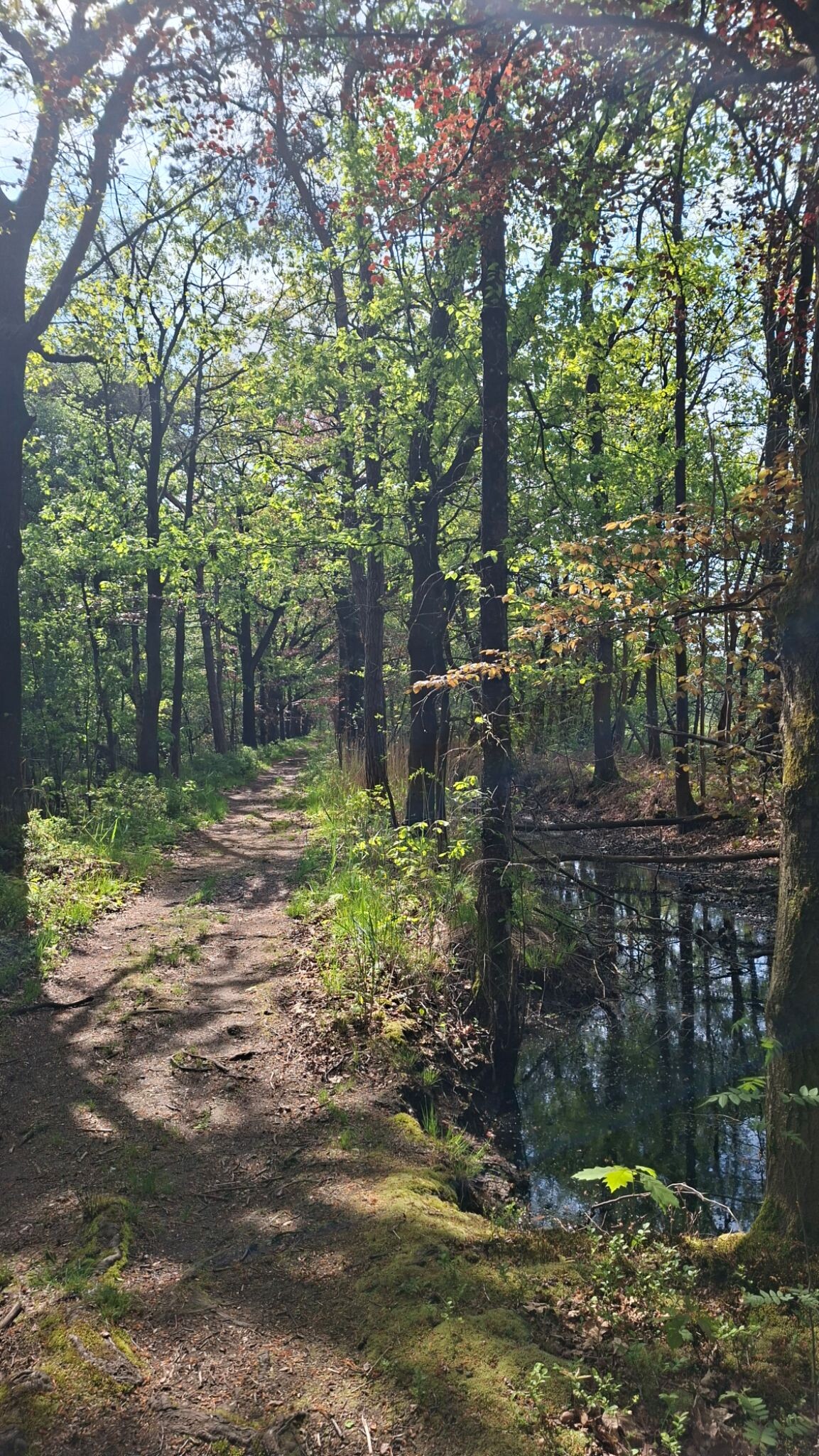 Schijndel - Liempde · Roots Natuurpad etappe 29