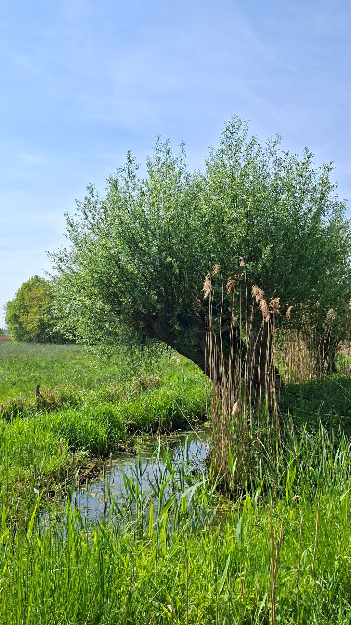 Schijndel - Liempde · Roots Natuurpad etappe 29