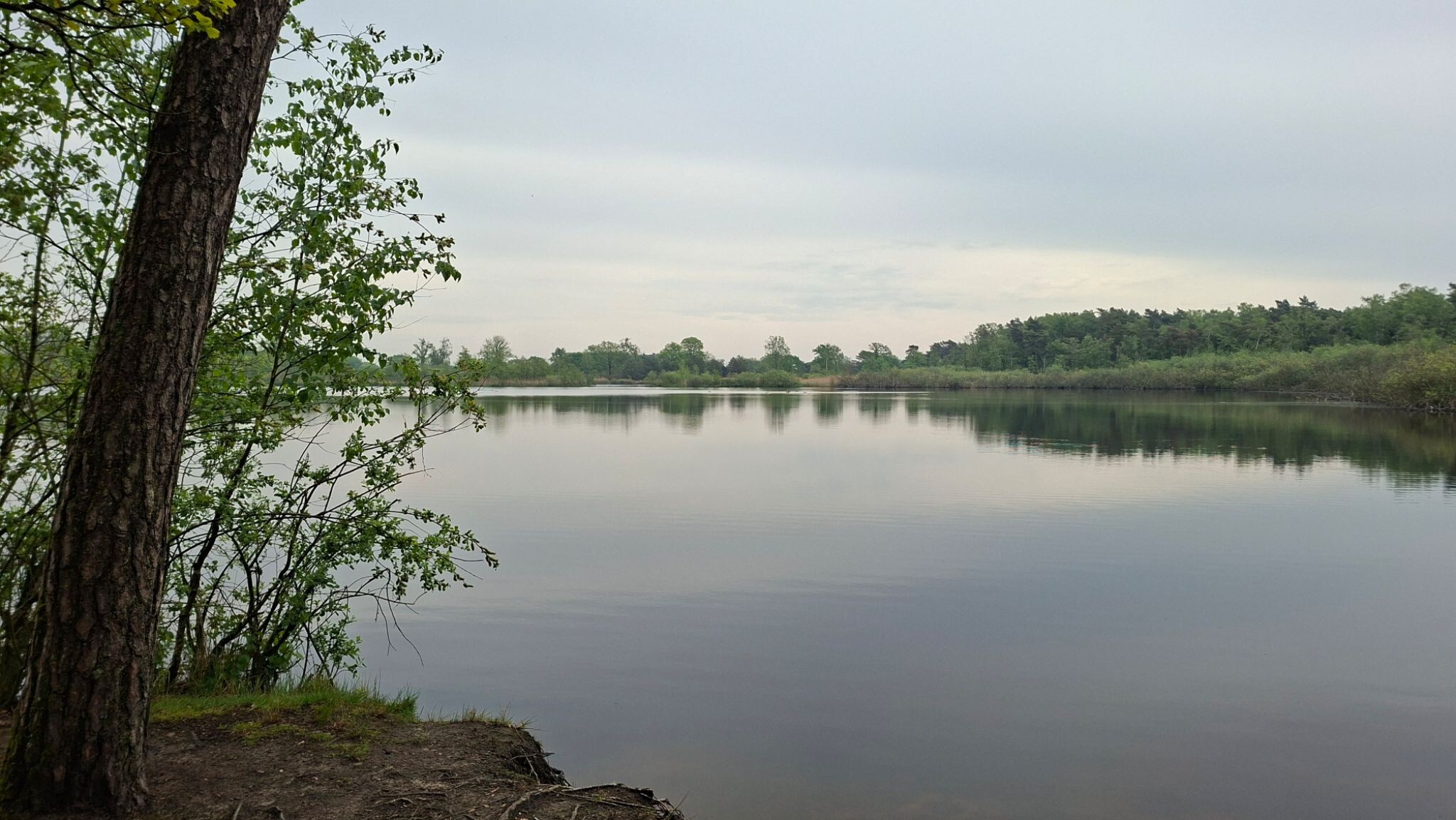 Liempde - Oisterwijk · Roots Natuurpad etappe 30