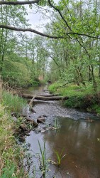 Liempde - Oisterwijk · Roots Natuurpad etappe 30