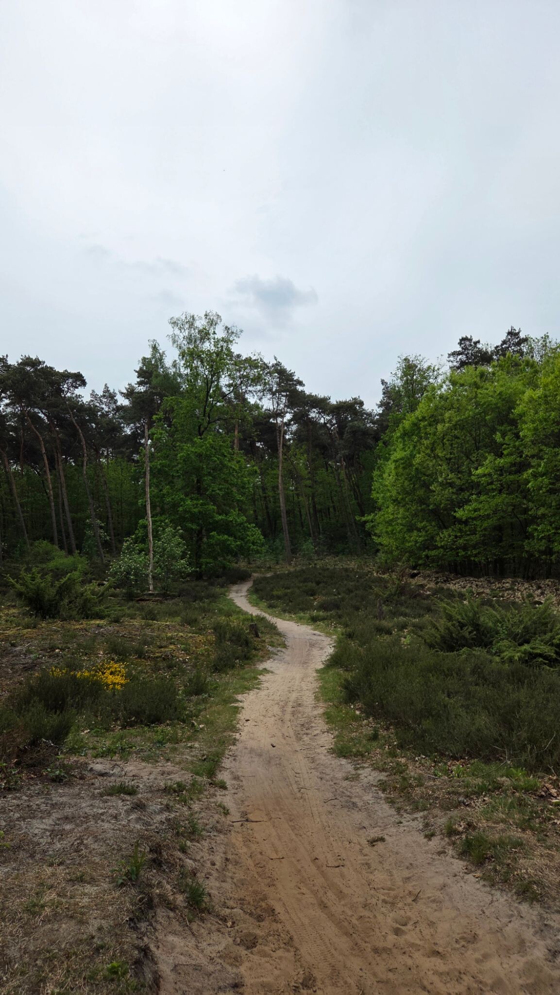 Gennep - Vierlingsbeek · Pieterpad etappe 19