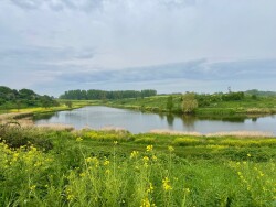 Wandelen door het Hoge Bergse Bos
