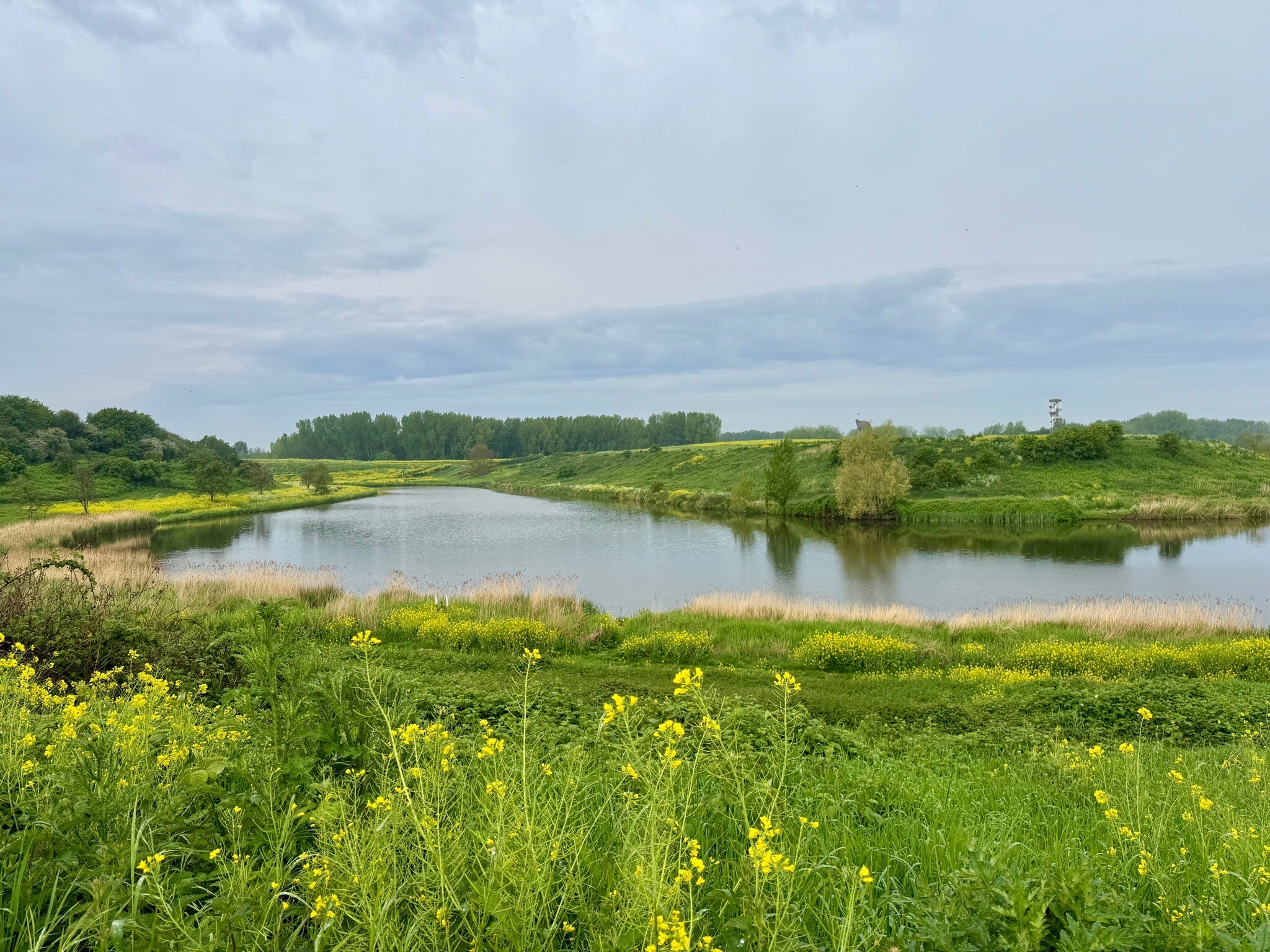 Wandelen door het Hoge Bergse Bos