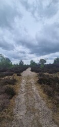 Harderwijk - Nunspeet · Zuiderzeepad etappe 13
