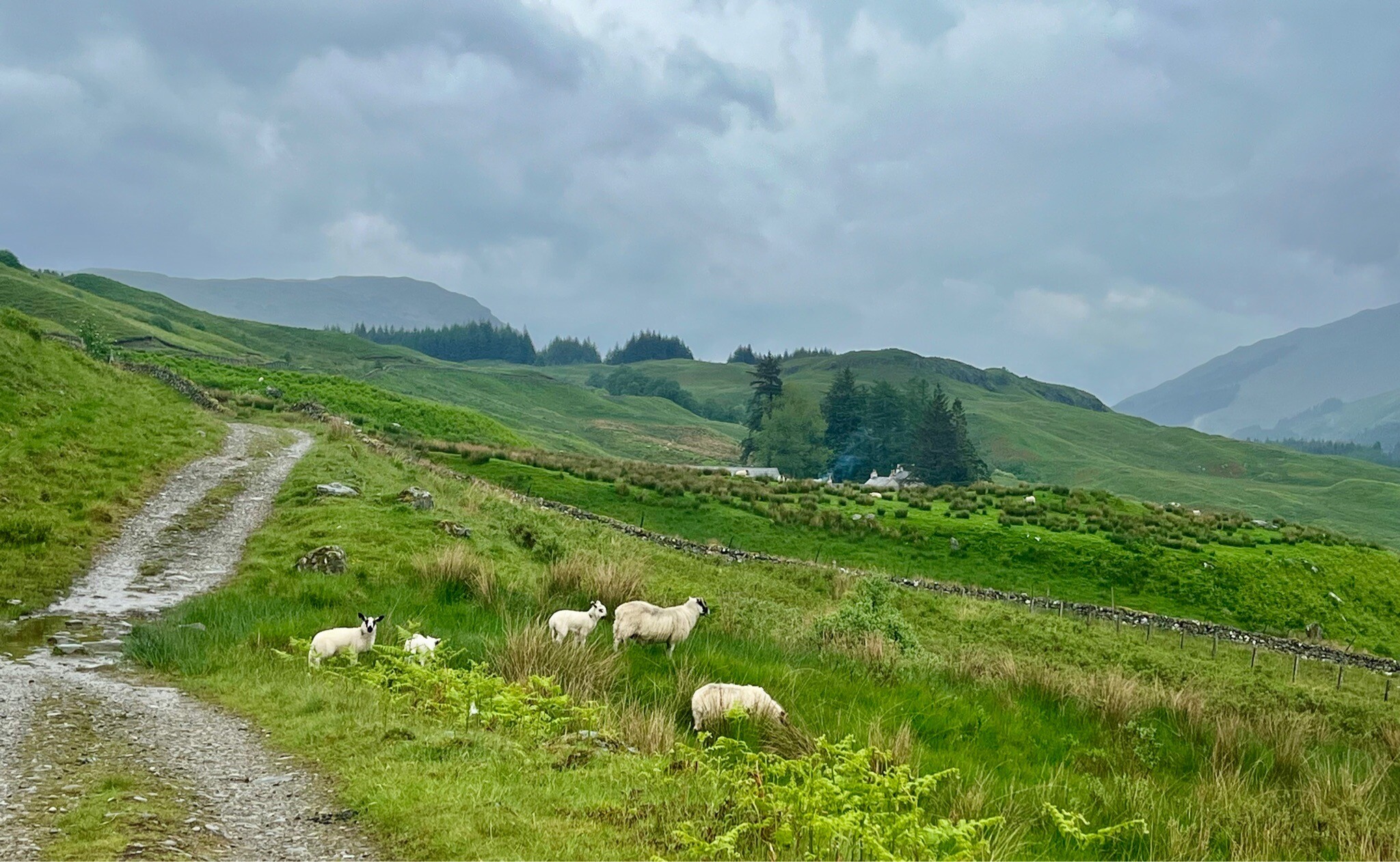 WHW 4.Inverarnan-Tyndrum