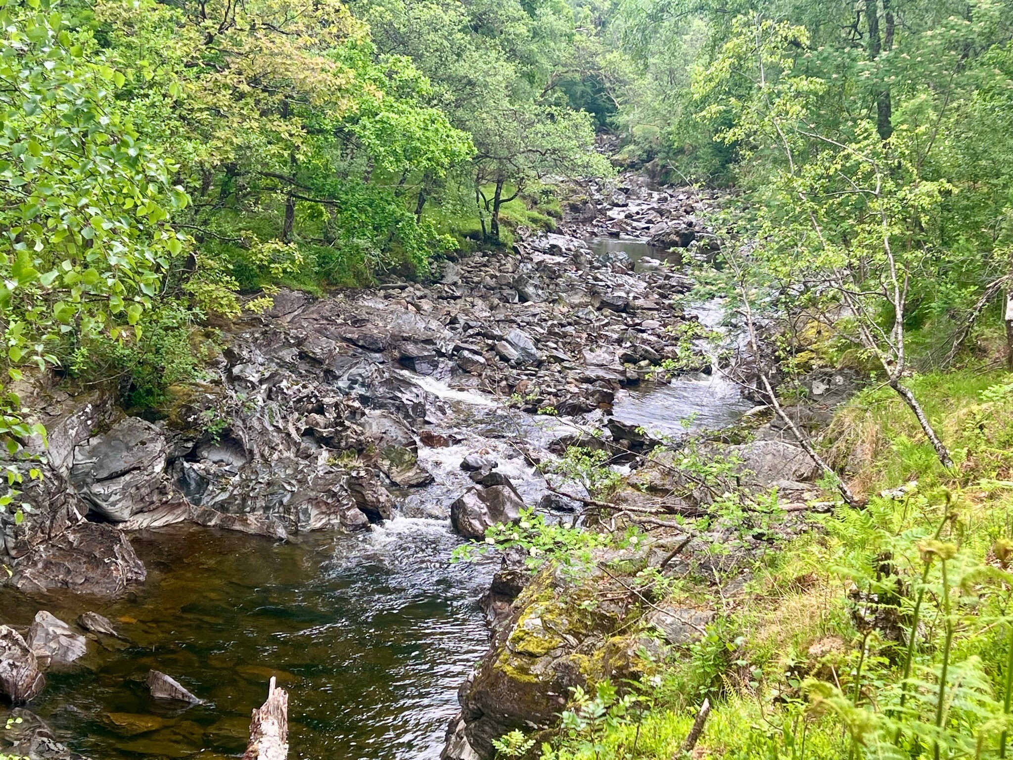 WHW 4.Inverarnan-Tyndrum
