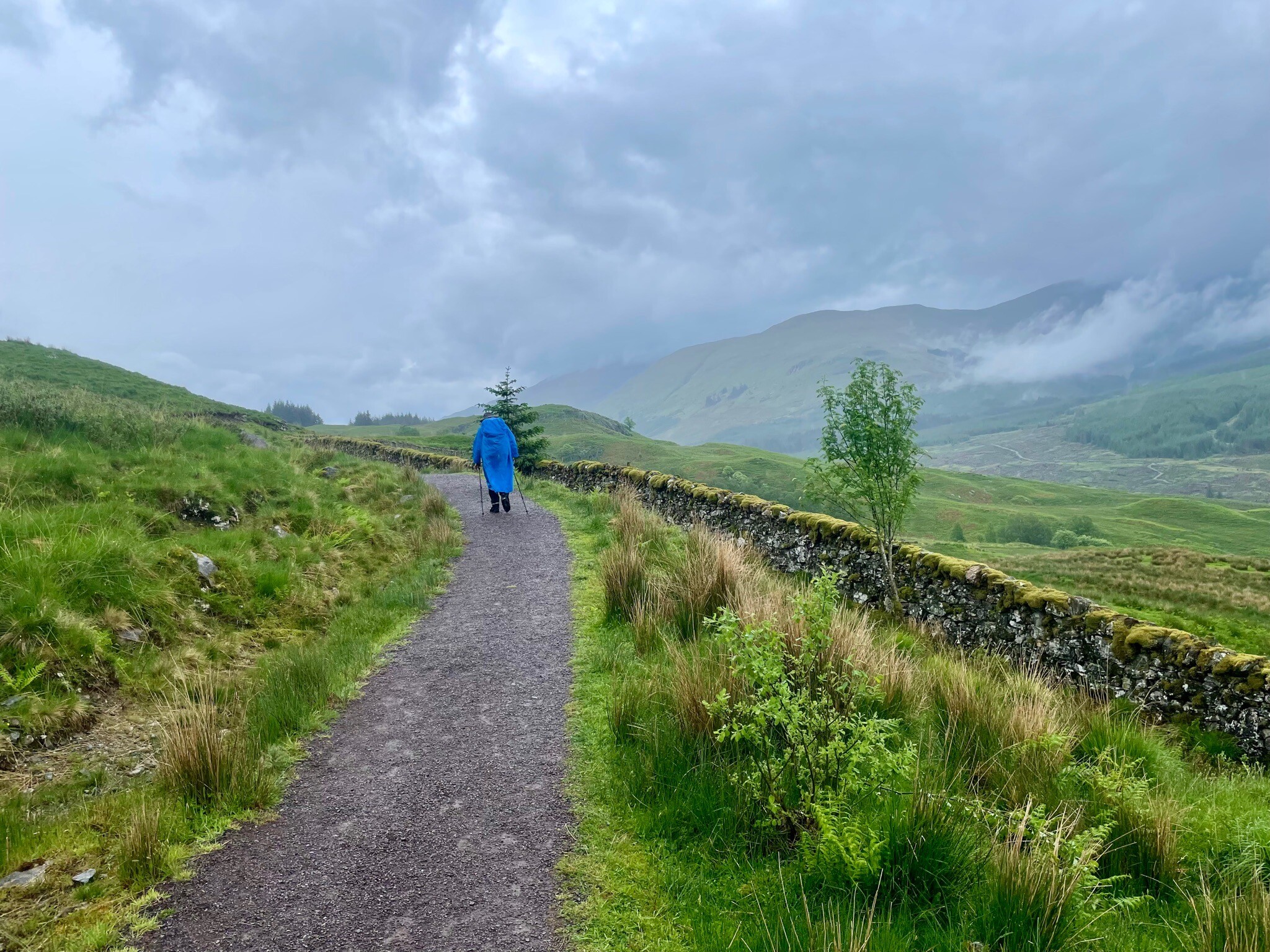 WHW 4.Inverarnan-Tyndrum