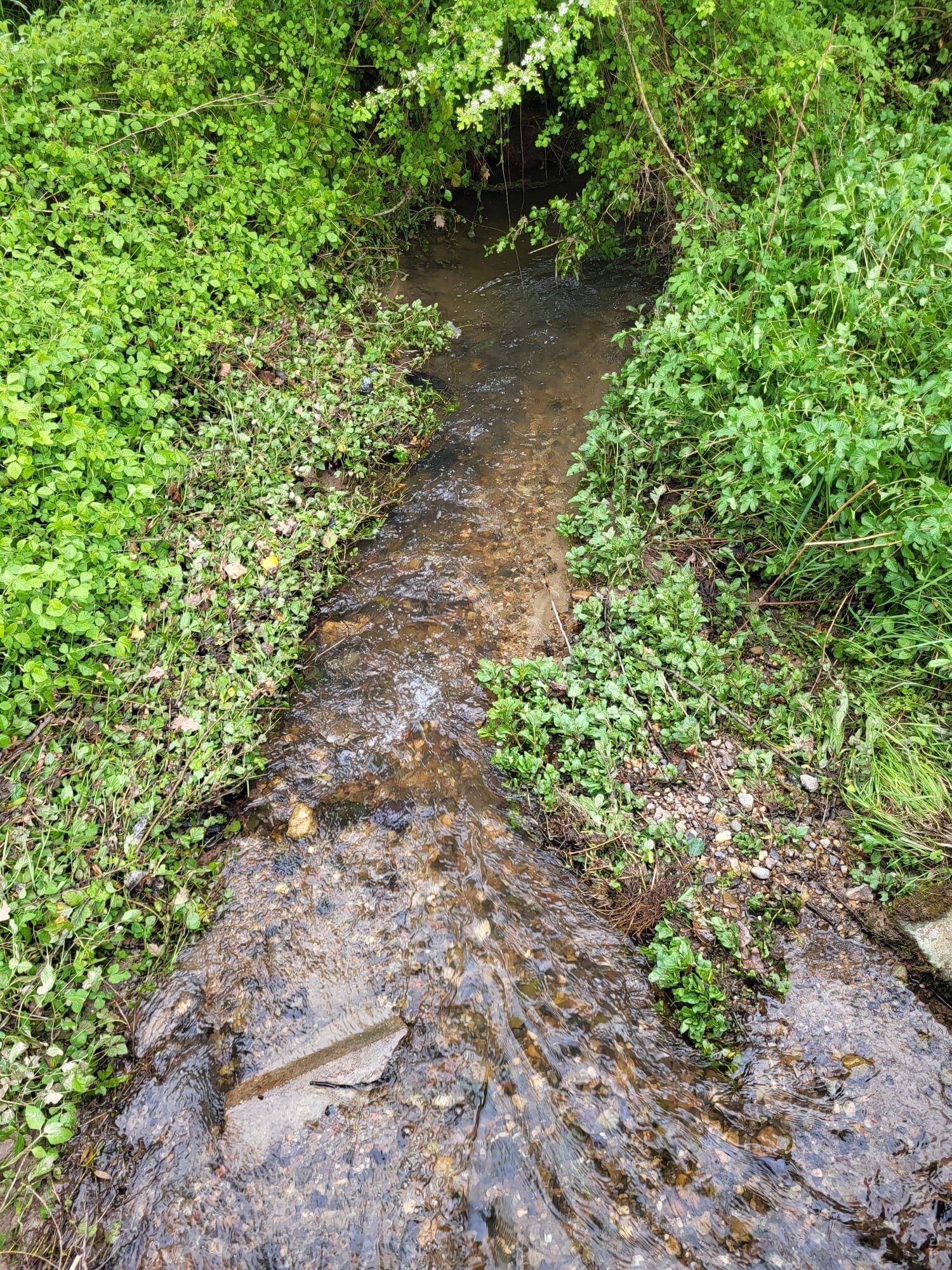 Vaals - Gulpen · Dutch Mountain Trail etappe 2