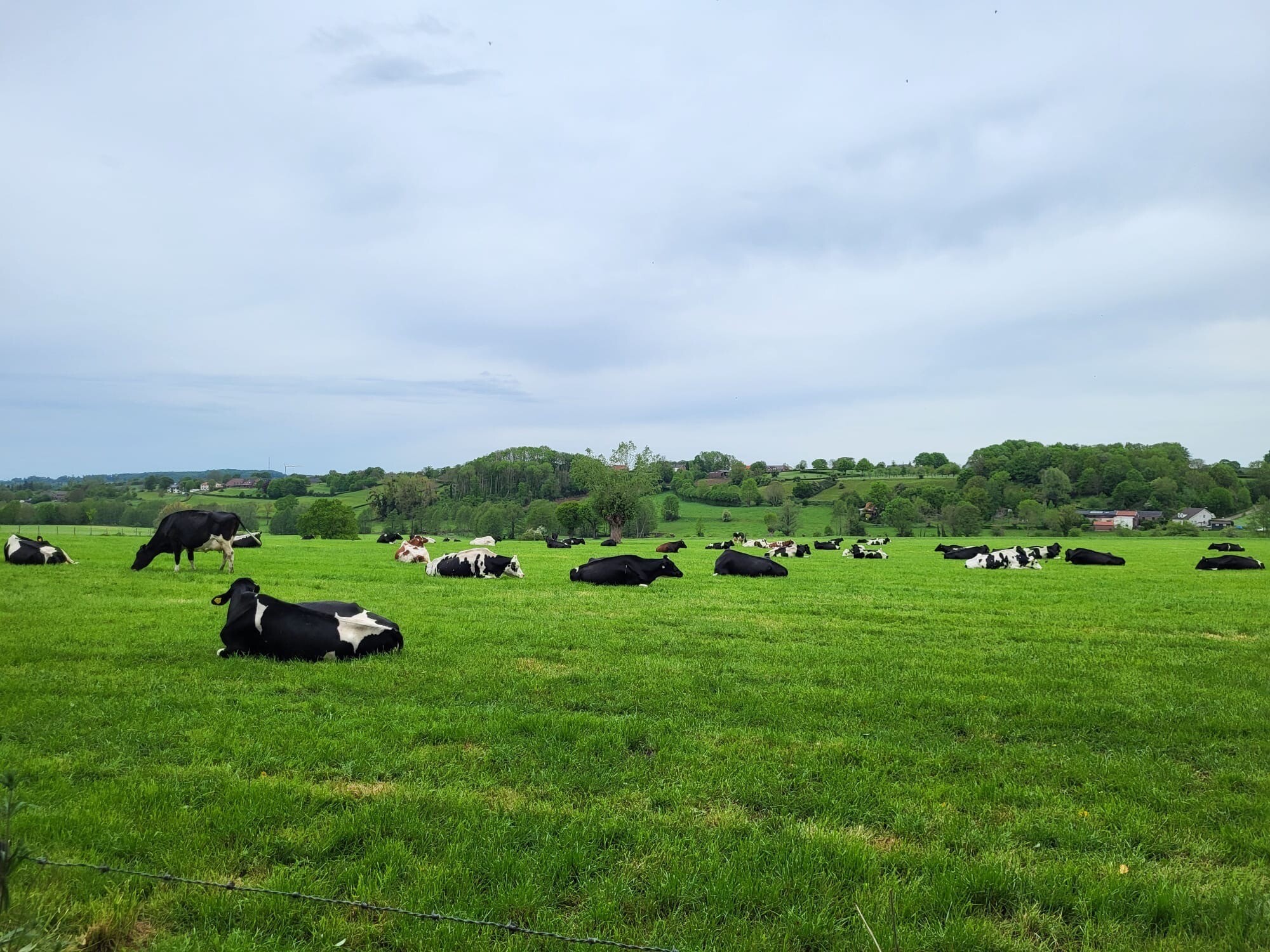 Vaals - Gulpen · Dutch Mountain Trail etappe 2