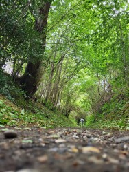 Vaals - Gulpen · Dutch Mountain Trail etappe 2