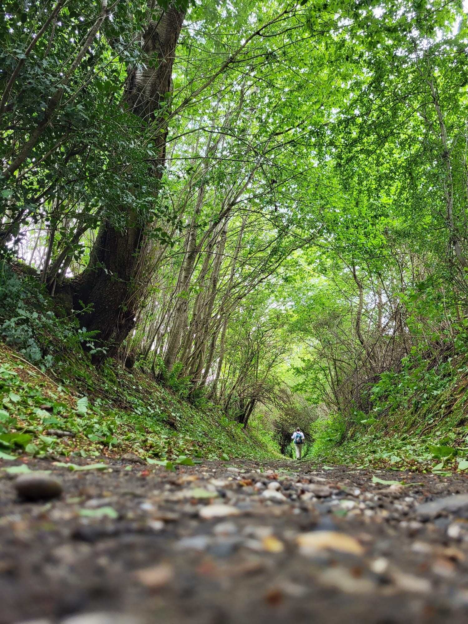 Vaals - Gulpen · Dutch Mountain Trail etappe 2