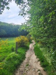 Vaals - Gulpen · Dutch Mountain Trail etappe 2