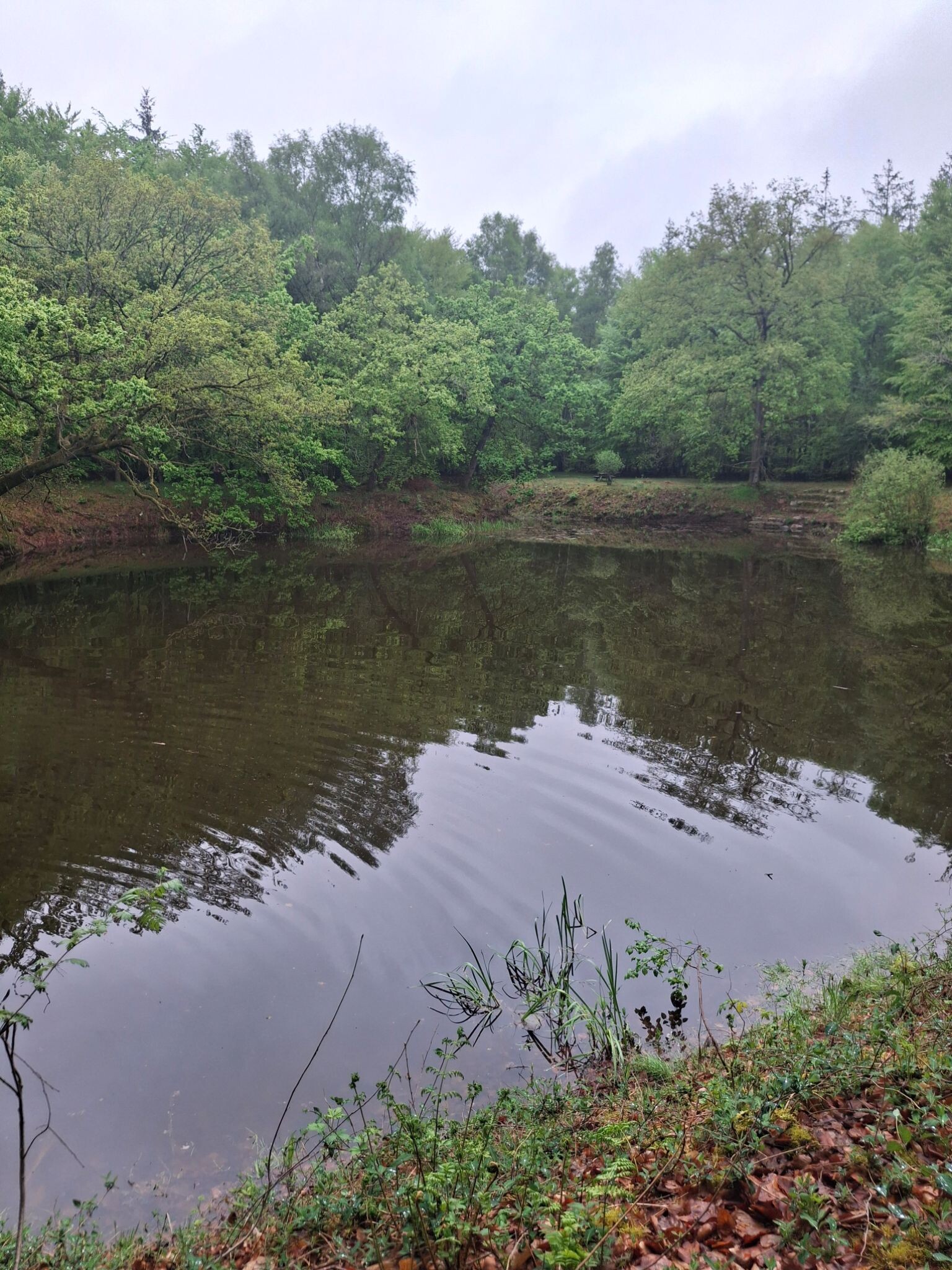 DW4D Dag 4 - 30km - 2026