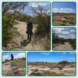 Bergen aan Zee - Alkmaar · Trekvogelpad etappe 1