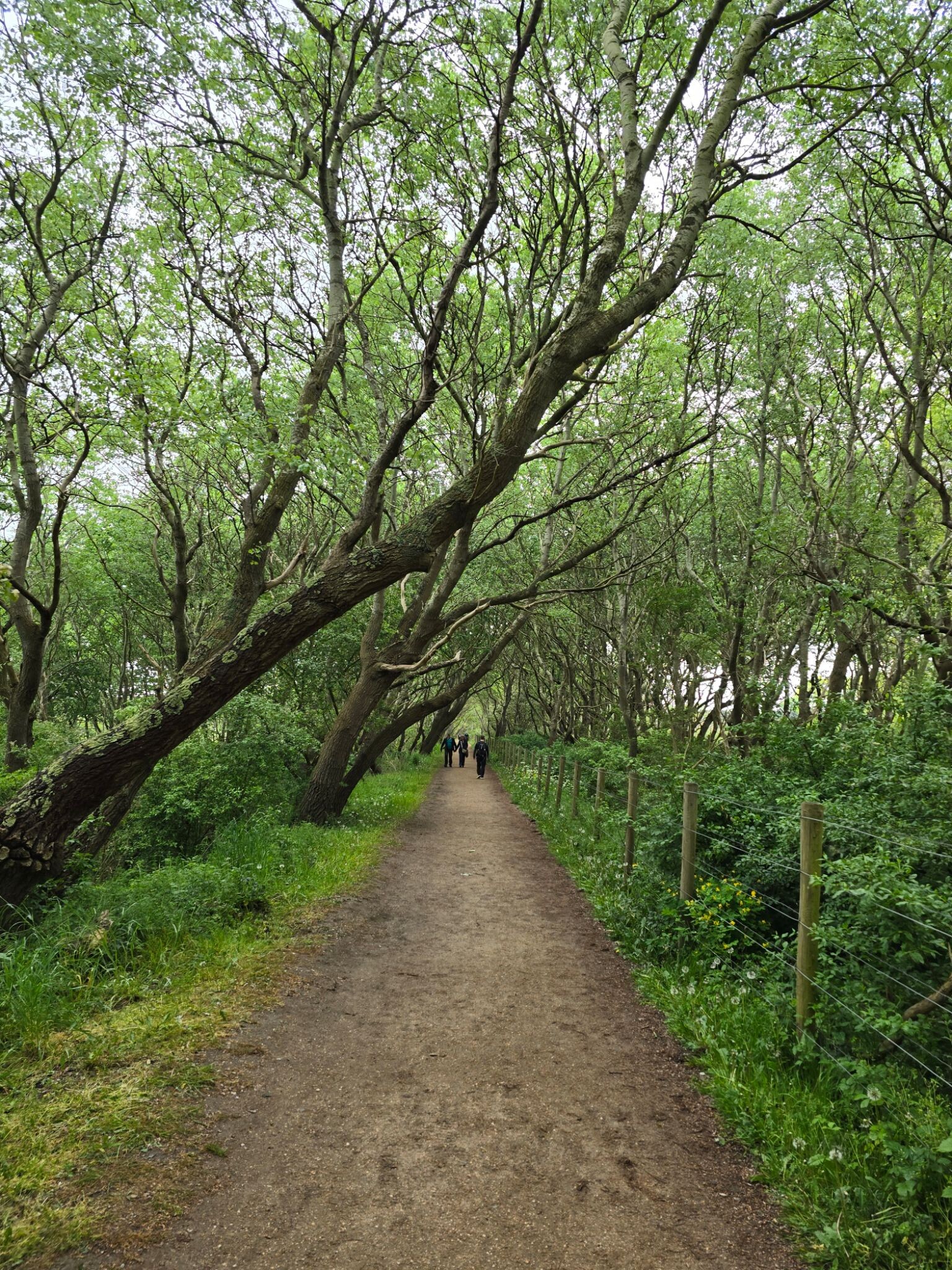 Blankenberge Wandelen