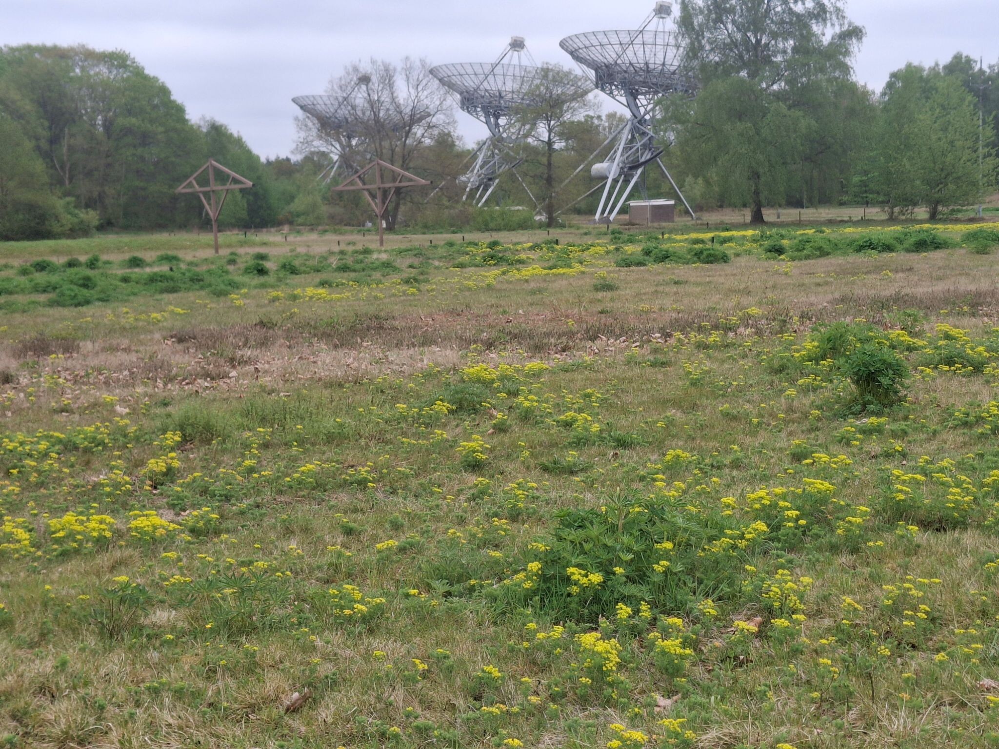 Radio sterrenwacht en kamp Westerbork