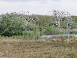 Boswachterspad Berkheide