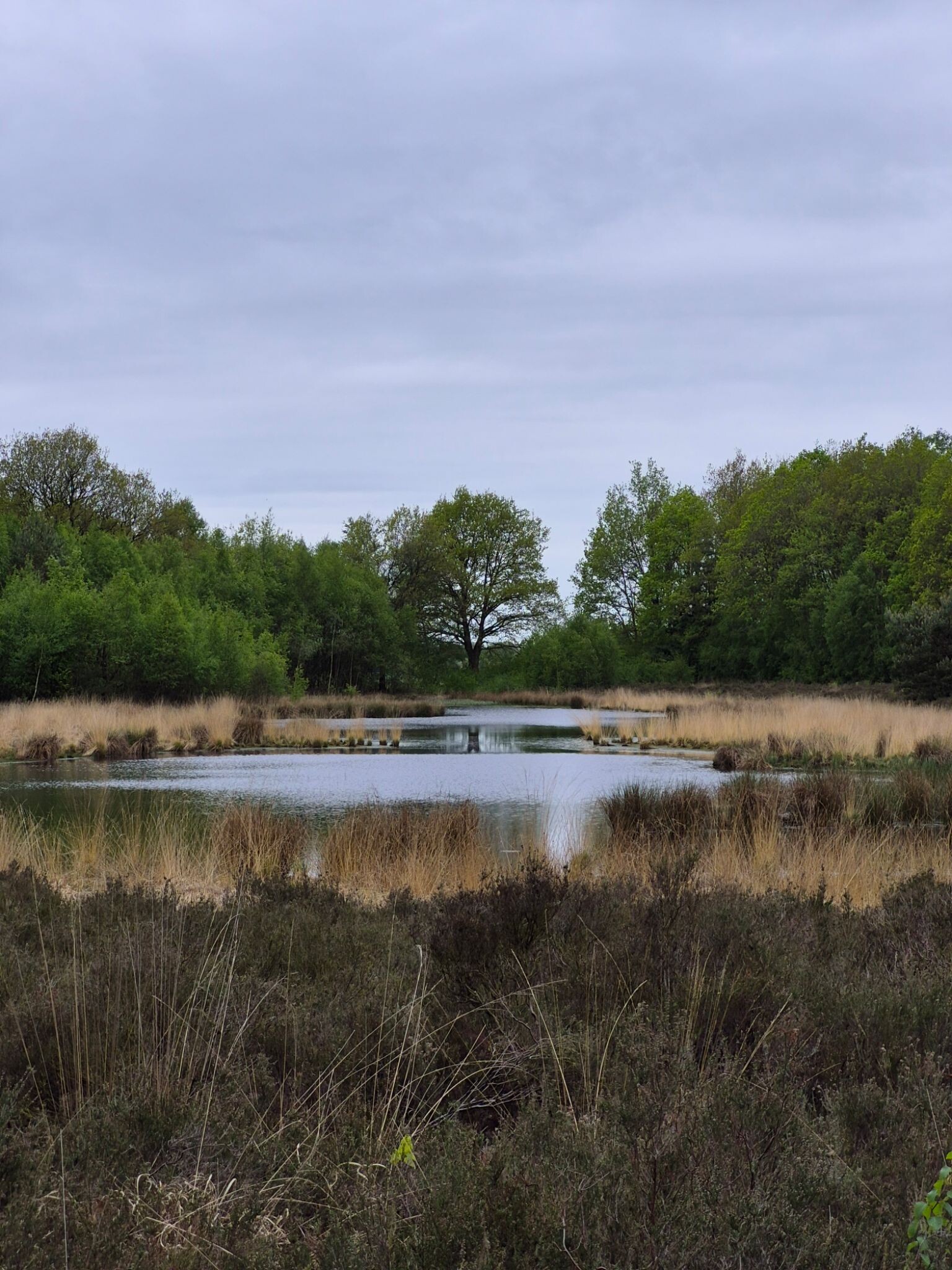 Schoonloo - Sleen · Pieterpad etappe 6
