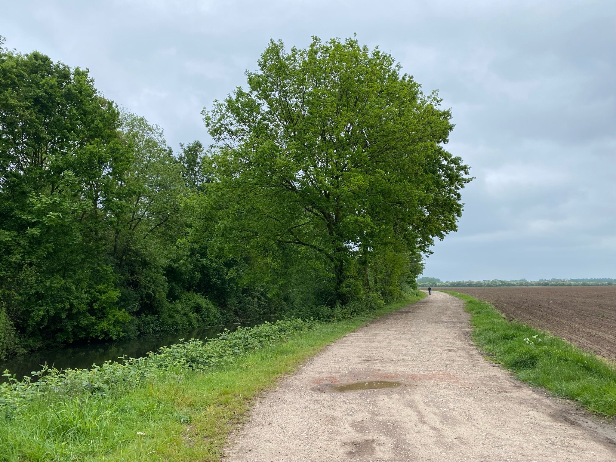 Herinneringsroute Thornsche Molen - Zyfflich