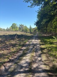 DW4D Dag 2 - 30km - 2026