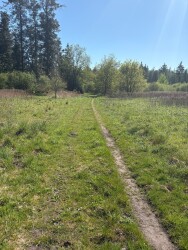 DW4D Dag 2 - 30km - 2026