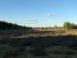 DW4D Dag 2 - 10km - 2026