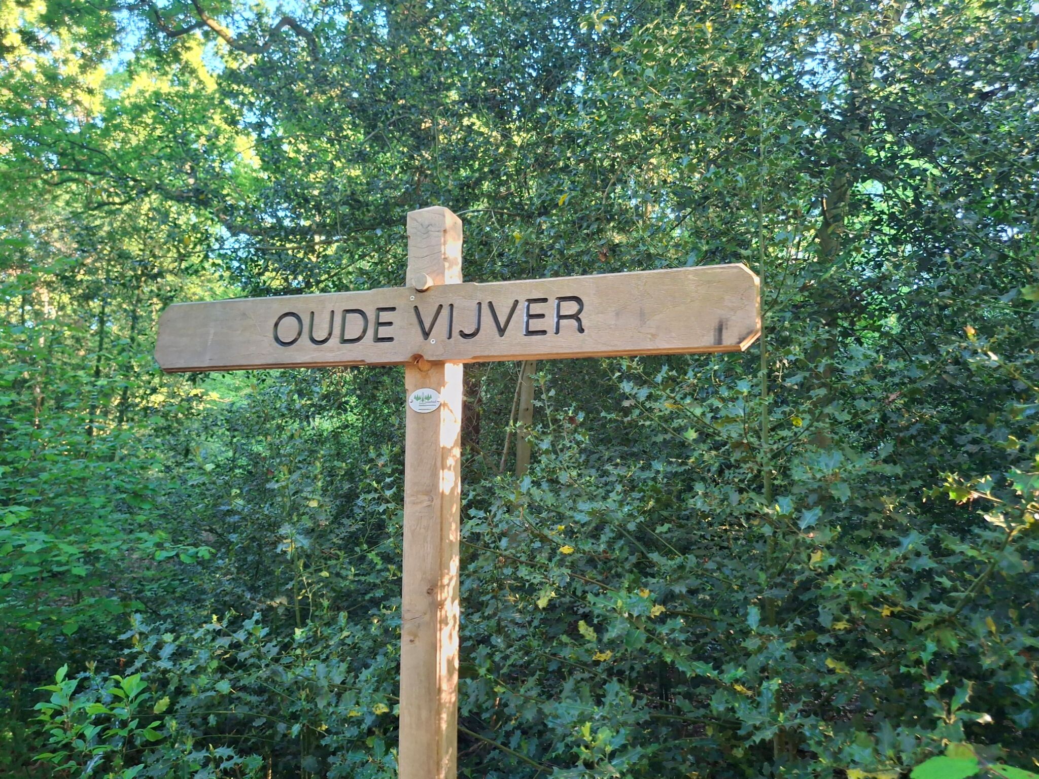 Blauwe route asserbos