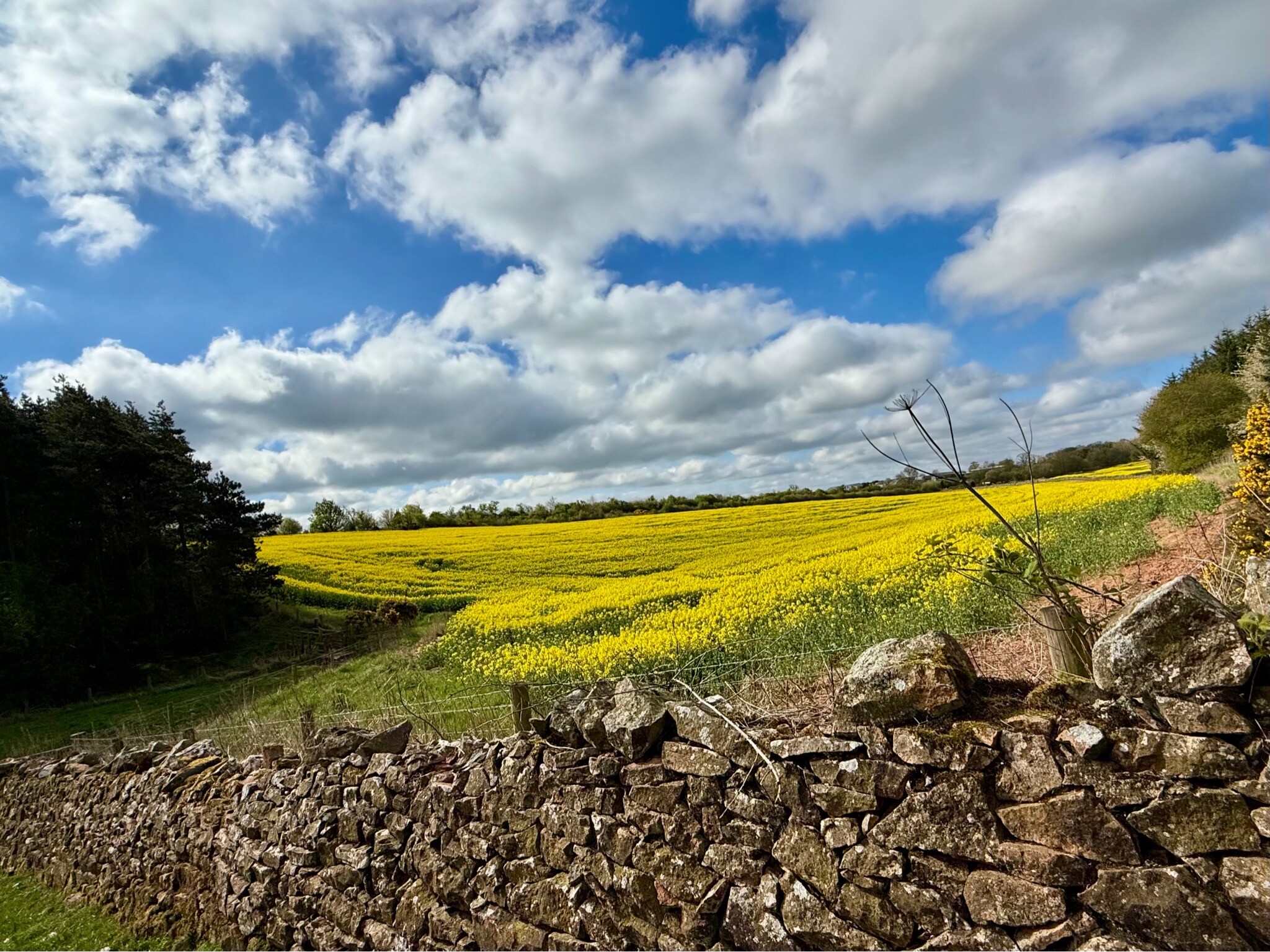 Saint Cuthbert's Way (Melrose to Kirk Yetholm)